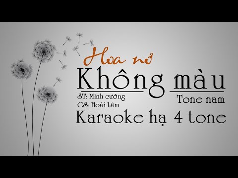 HOA NỞ KHÔNG MÀU- Hoài Lâm. karaoke hạ 4 tone