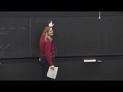 Quantum Gravity Lecture 8: Holonomies, Fluxes and their Poisson Algebra