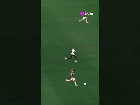 O DNA DO DINIZISMO NÃO FOI EMBORA DO FLUMINENSE! 😮‍💨🇭🇺 #shorts
