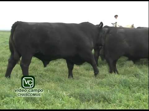 Visita a Cabaña Terra Garba