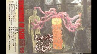 Summoning Of Flesh - Born From Gore [Full Demo] 1995