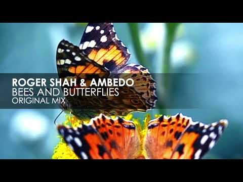 Roger Shah & Ambedo - Bees And Butterflies