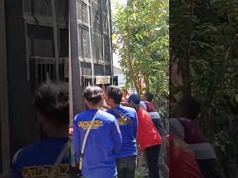 Cover Judul Musik Tidak Ditemukan