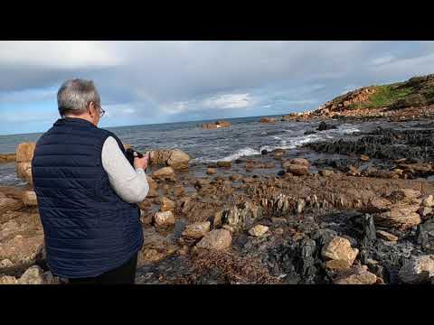 Lipson Cove & Lipson Island