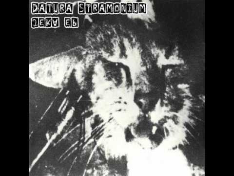 Datura Stramonium - Dichtung00