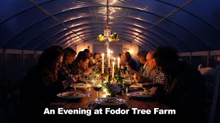 preview picture of video 'Catullo Catering Event: An Evening at Fodor Tree Farm'