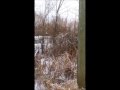 Laura And Emily Go For A Walk In Canada