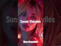 Sunset Melodies ♪ Ultimate Disco Groove | Dance to the Funky 70s Vibes!