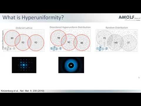 Hyperuniform designs for enhanced light trapping in ultrathin single and tandem SCs - Nasim Tavakoli
