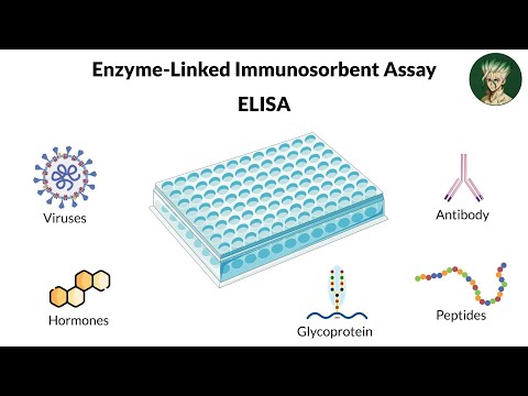 Enzyme-Linked Immunosorbent Assay (ELISA) |شرح بالعربي