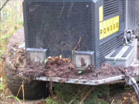 Podcast 2021 nro 8 -   harvennuspolitiikkaa