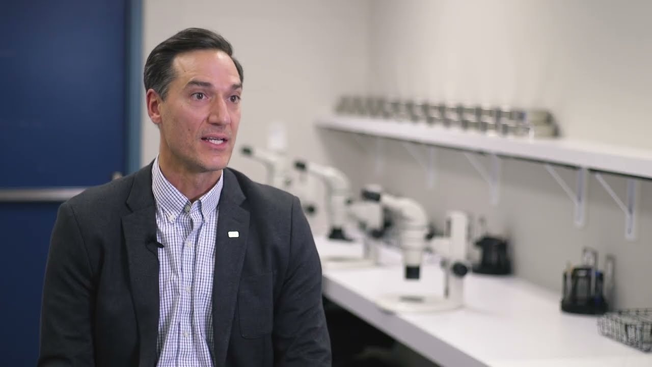 Unlocking the Potential of Sensor-Based Sorting for Efficient Mineral Processing