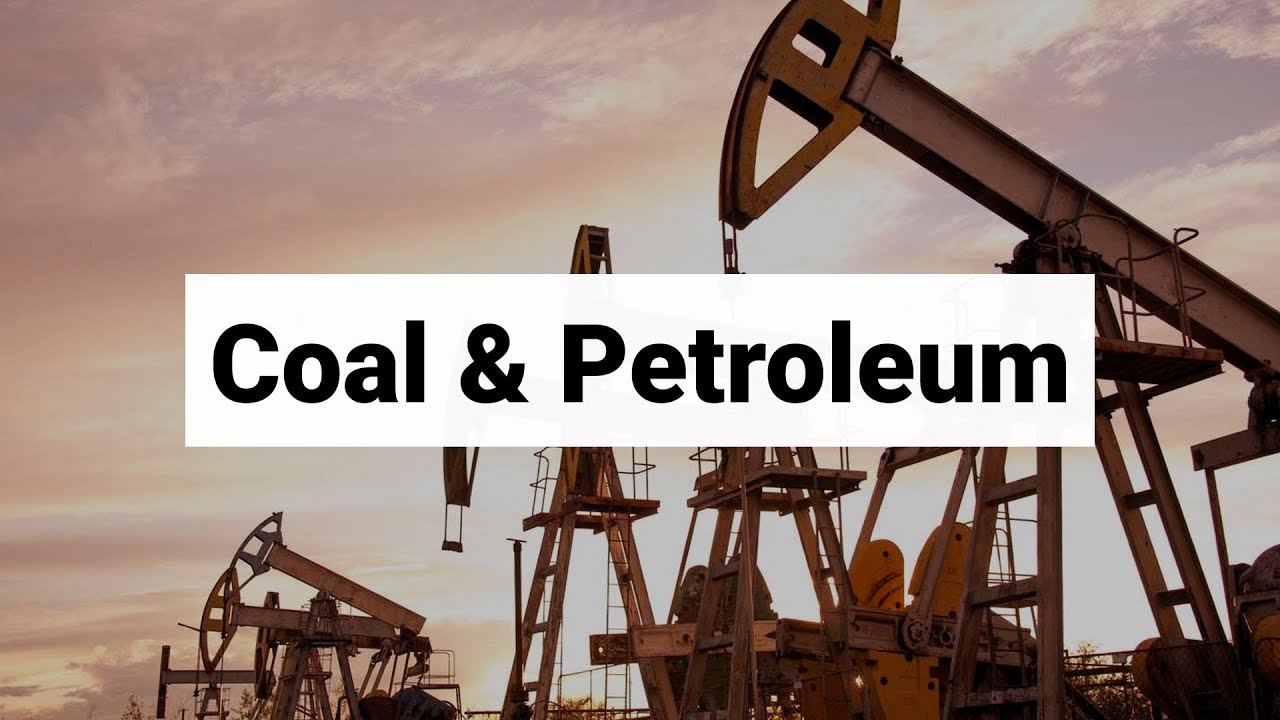 Class 8 | Coal & Petroleum | CBSE Board | Civics | Home Revise