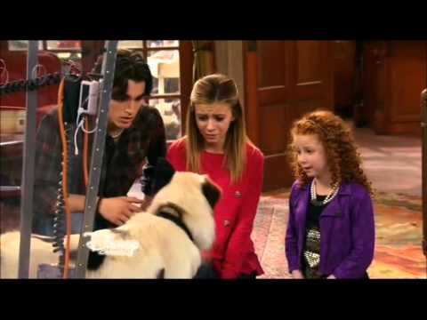 Dog With A Blog Stan's Secret Is Out Series Finale