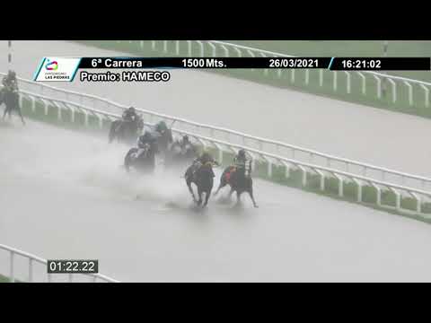 210326 c06 - MINAS LOVE - HIPODROMO LAS PIEDRAS