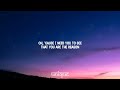 Calum Scott You Are The Reason Lyrics