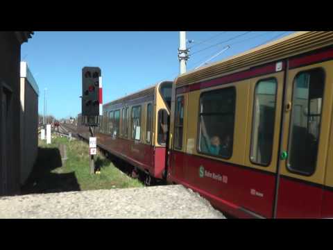 20110409 Berlin-Blankenburg (D) 'zilverkleurige' Ludmilla