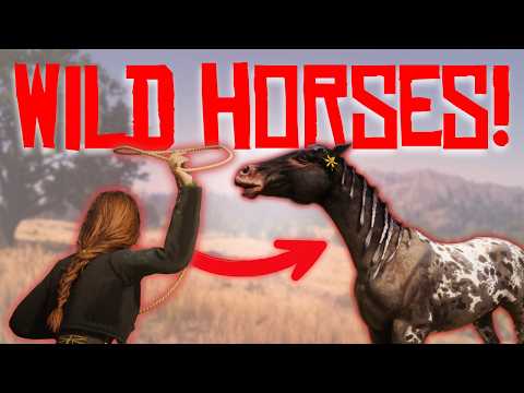 Taming & Training WILD HORSES! | Red Dead Redemption 2 RP