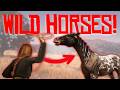 Taming Training WILD HORSES Red Dead Redemption 2 RP