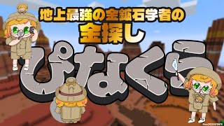 【Minecraft | 🌈 にじ鯖 】金【にじさんじ | セフィナ】