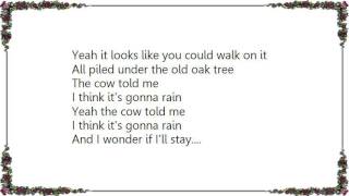 Victoria Williams - Periwinkle Sky Lyrics