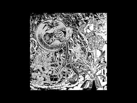 Madteo - Episcopi Vagantes [HJP095]