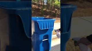 How to Keep Animals away from your Garbage Cans