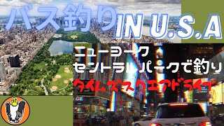 バス釣り in USA NYセントラルパークで釣り