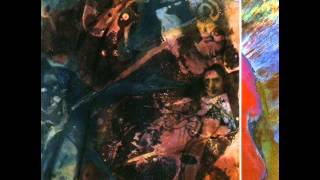 Nurse With Wound - Brained