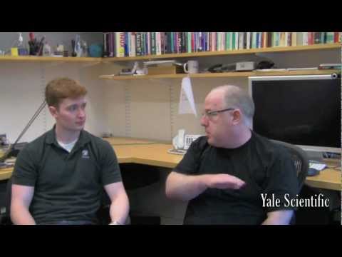 85.2 Why Boys are not Girls A Molecular Perspective .mov