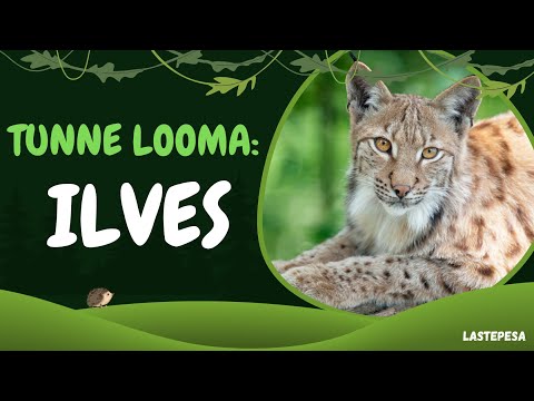 Tunne looma: ILVES