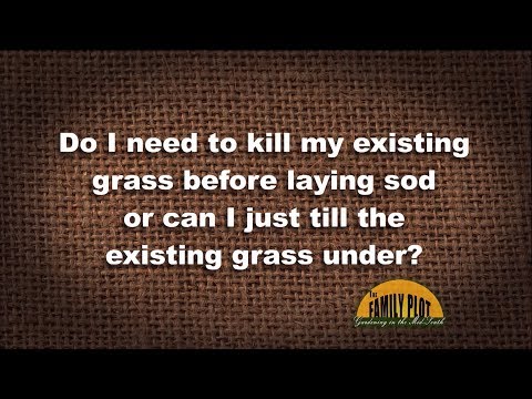 Q&A – Do I need to kill my existing grass before I lay sod?