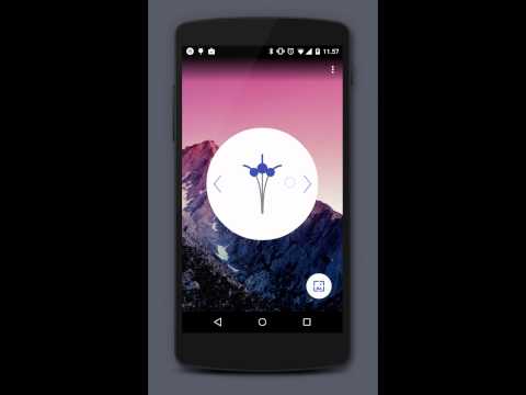 Blur Wallpaper Video