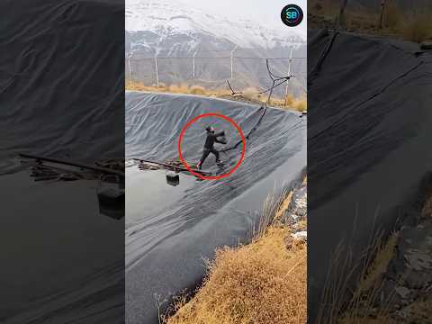 “This Man Refused To Let The Fox Die! 😳🦊” (🎥_@irantour_with_mehran) #viralvideo #viralshorts