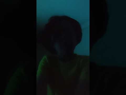 Agustín Silva Tapia