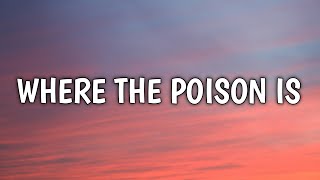 FINNEAS - Where the Poison Is (Lyrics)