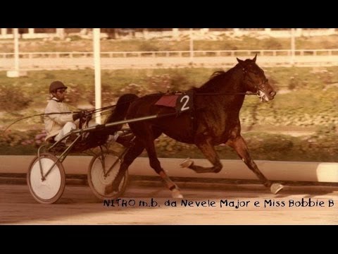 Un nonno vagabondo...- Gabriele Del Castillo