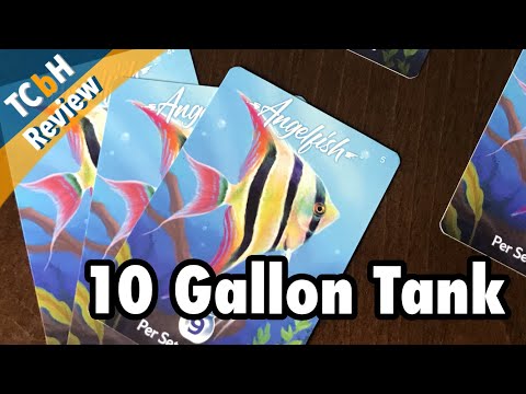 The Cardboard Herald Reviews - 10 Gallon Tank
