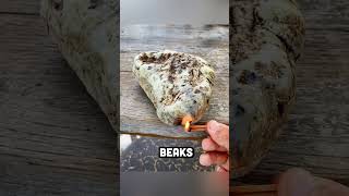 Ambergris - The Whale’s Secret Worth Thousands #shorts