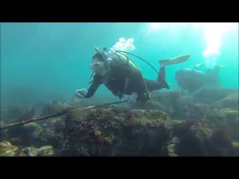 Scuba Diving - Arai no Hama, Ito