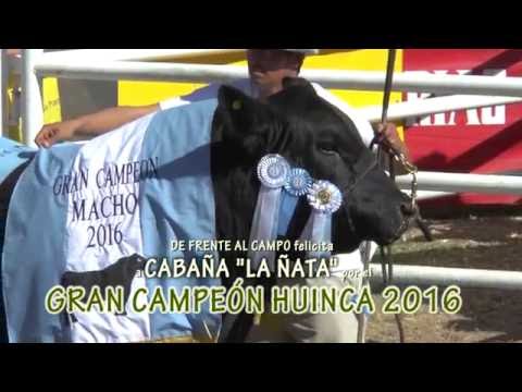 DE FRENTE AL CAMPO junto a CABAÑA "LA ÑATA" - EXPO HUINCA 2016 -