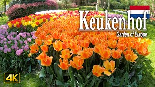 Keukenhof – Garden of Europe, Netherlands 🇳🇱 Walking Tour in 4K