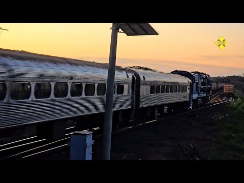 Trem de Natal retorna para Santa Fé do Sul (SP) 