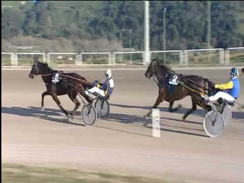 Trotto 11/12/2018 - 1ª corsa