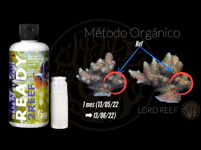 Vídeo relacionado con Fauna Marin Elementals Trace F 1000 ml solución de fluoruro altamente concentrada para acuarios marinos