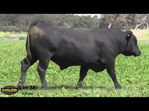 GRANITE RIDGE QUARTZ Q95