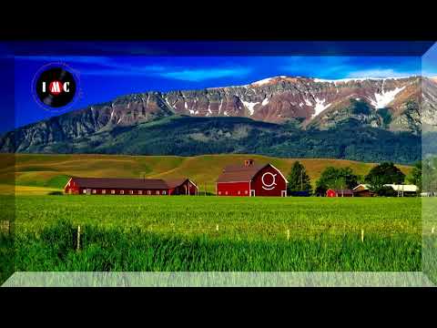 Goodbye Virginia Instrumental Version ~ Sture Zetterberg