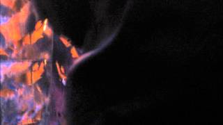 The Residents - Loser=Weed Wrong rpm