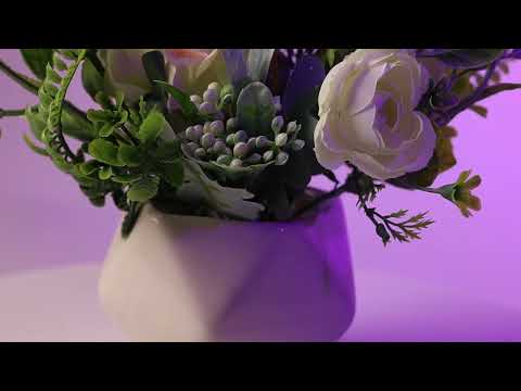 Миниатюра изображения товара Искусственные цветы Sundays Home C0007578A (белый)