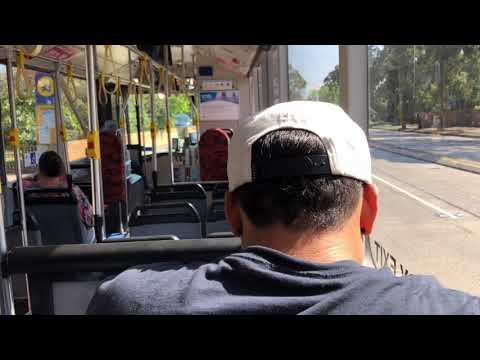 Nice ZF - Transit Systems Sydney (leichhardt) m/o 1289 - Mercedes Benz O 405NH CNG